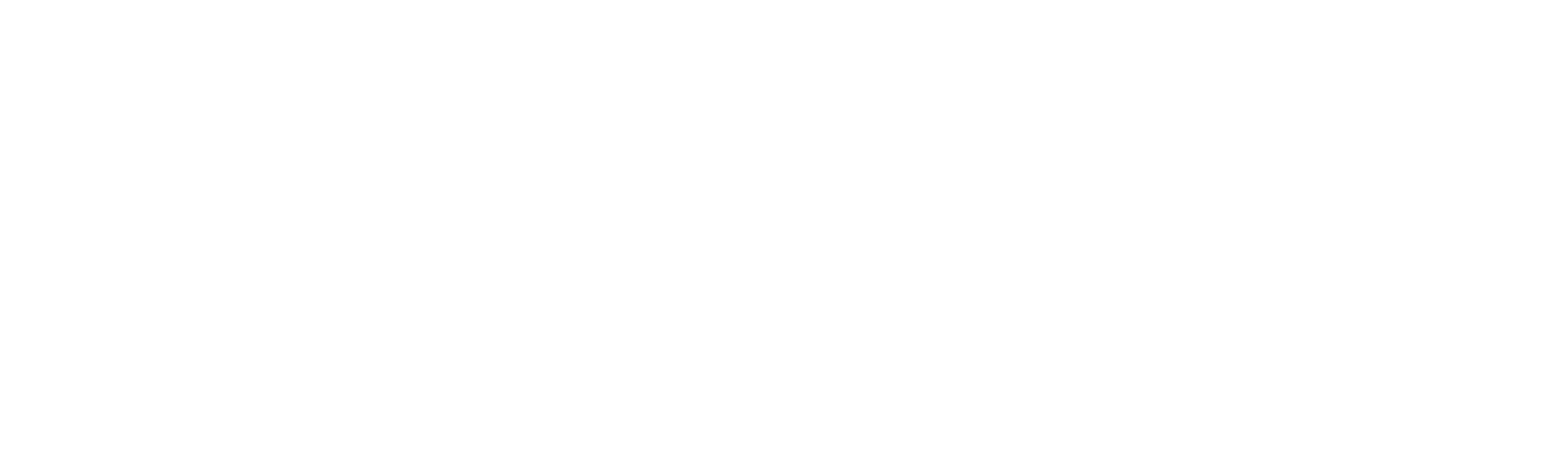 SEE THE BIGGER PICTURE